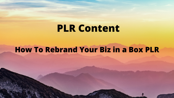 How To Rebrand Your Biz in a Box PLR