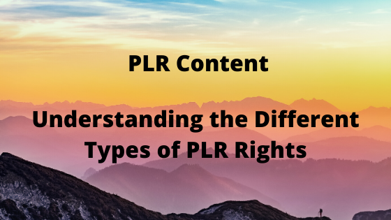 Understanding the Different Types of PLR Rights