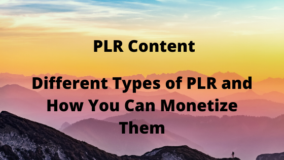 Different Types of PLR and How You Can Monetize Them