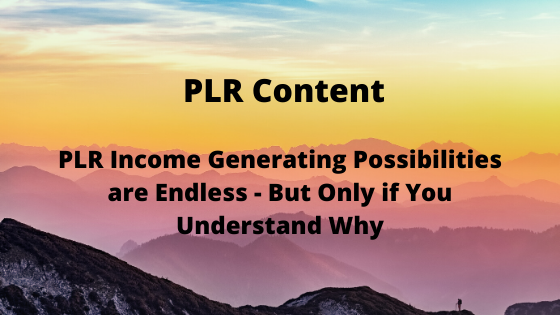 PLR Income Generating Possibilities are Endless